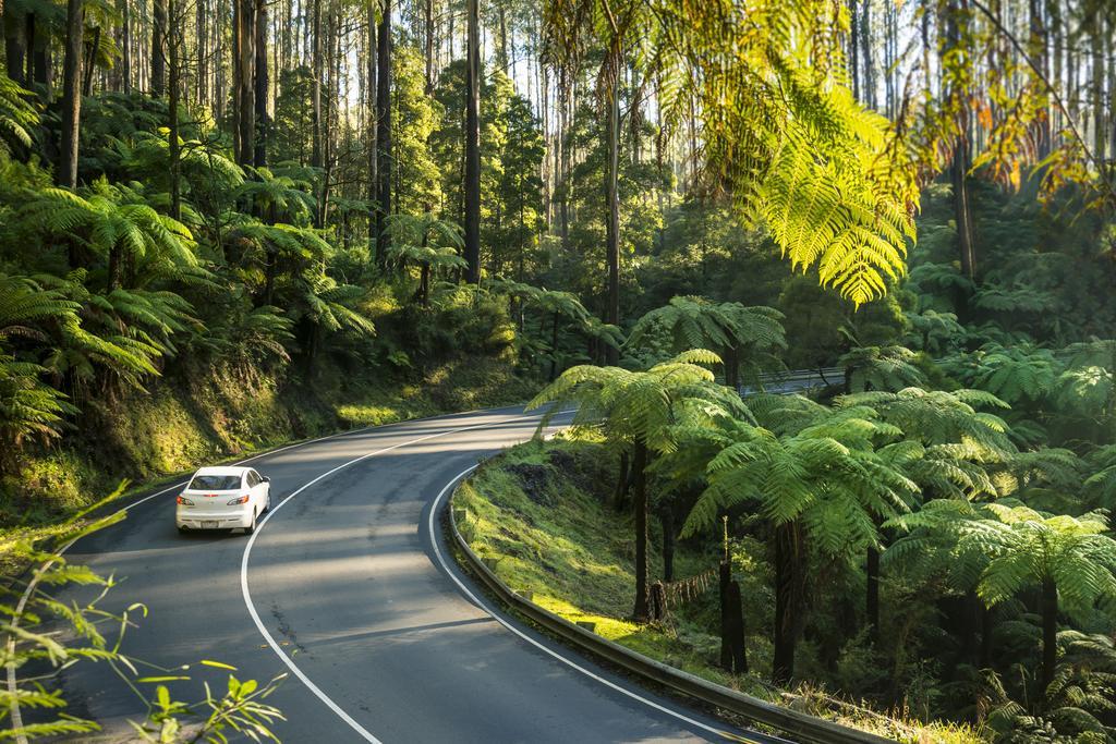 Lithgow Falls Мерісвіль Екстер'єр фото